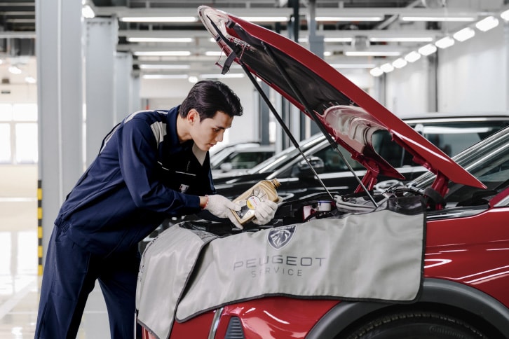 hướng dẫn sử dụng peugeot 2008